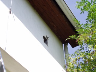 A kilukasztott fal �s az �tmen� csavar